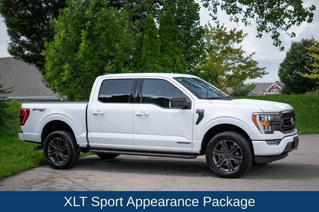 Used 2023 Ford F150 XLT w/ Equipment Group 302A High AWD/4WD image 4