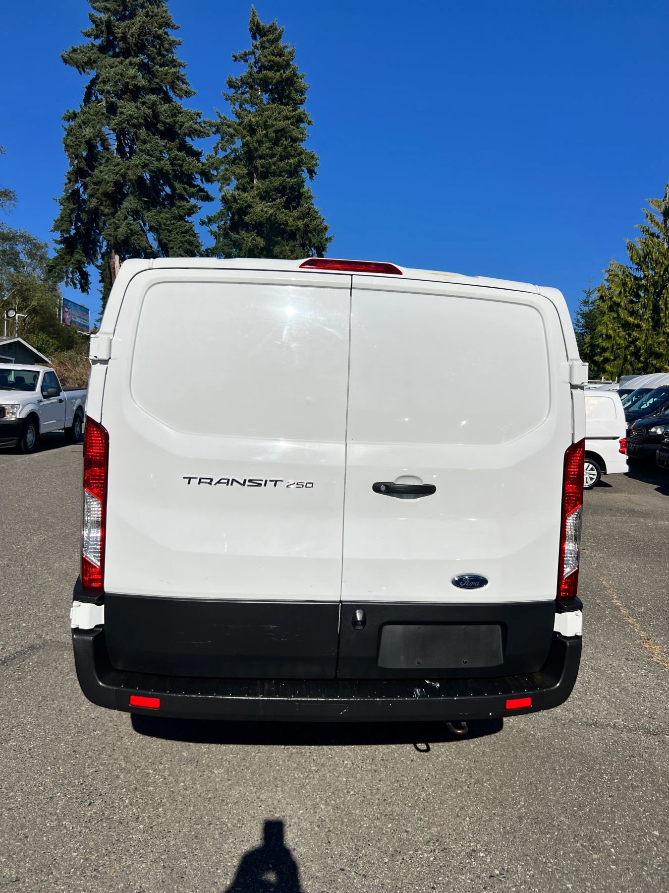 Used 2020 Ford Transit 250 Low Roof w/RWB Van 3D image 6