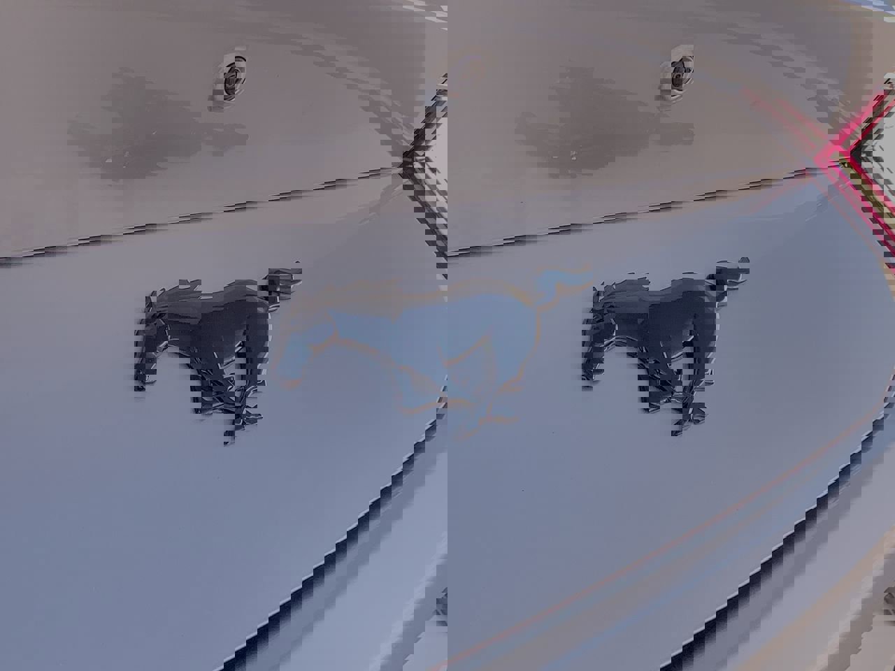 New 2025 Ford Mustang Coupe w/ Mustang Nite Pony Package image 17