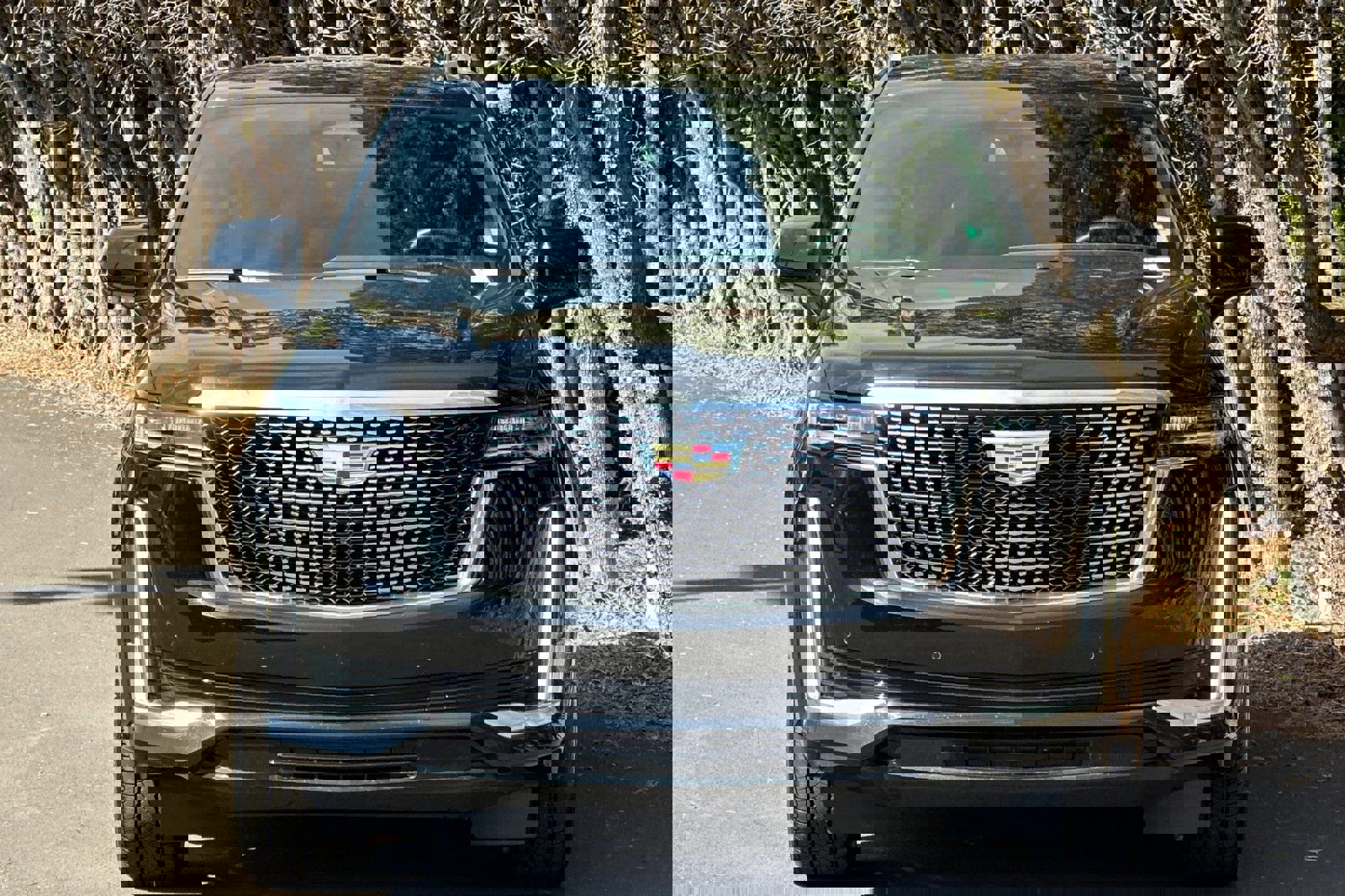 Used 2024 Cadillac Escalade Luxury image 9