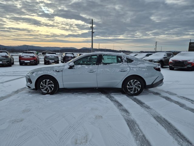 New 2026 Hyundai Sonata Blue image 4