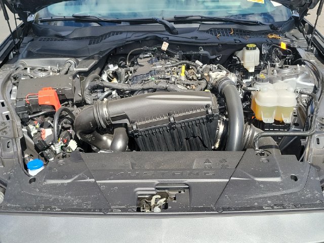 Used 2026 Ford Mustang Coupe RWD image 21