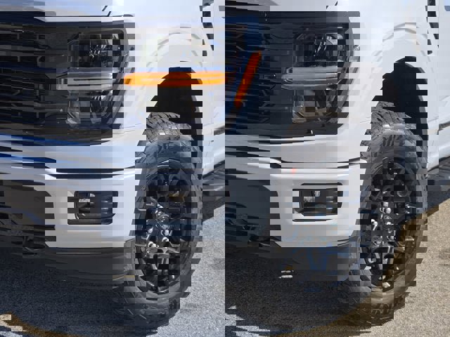 New 2025 Ford F150 XLT w/ Equipment Group 301A Standard image 3