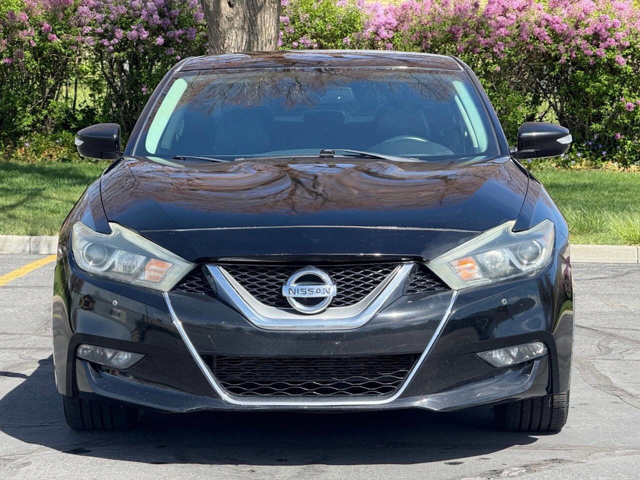 Used 2016 Nissan Maxima 3.5 SV image 2