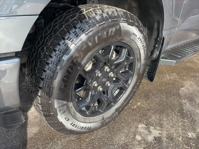 Used 2025 Ford F150 XLT w/ Equipment Group 302A MID image 6