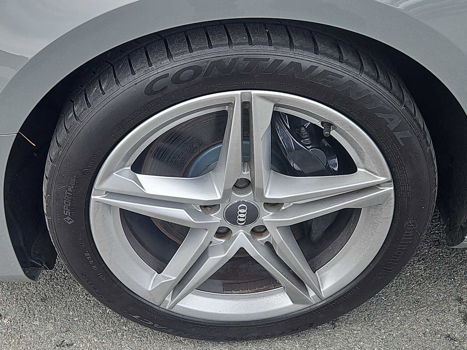 Used 2019 Audi S4 Premium Plus w/ Premium Plus Package image 7