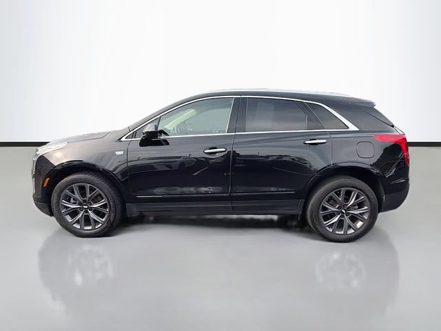 Used 2019 Cadillac XT5 Luxury w/ LPO, Black Ice Package AWD/4WD image 4