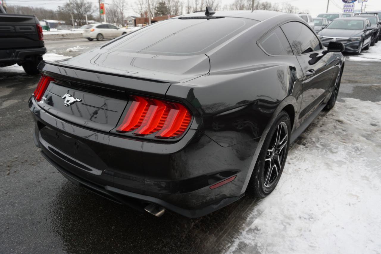 Used 2022 Ford Mustang Premium w/ Equipment Group 201A image 6