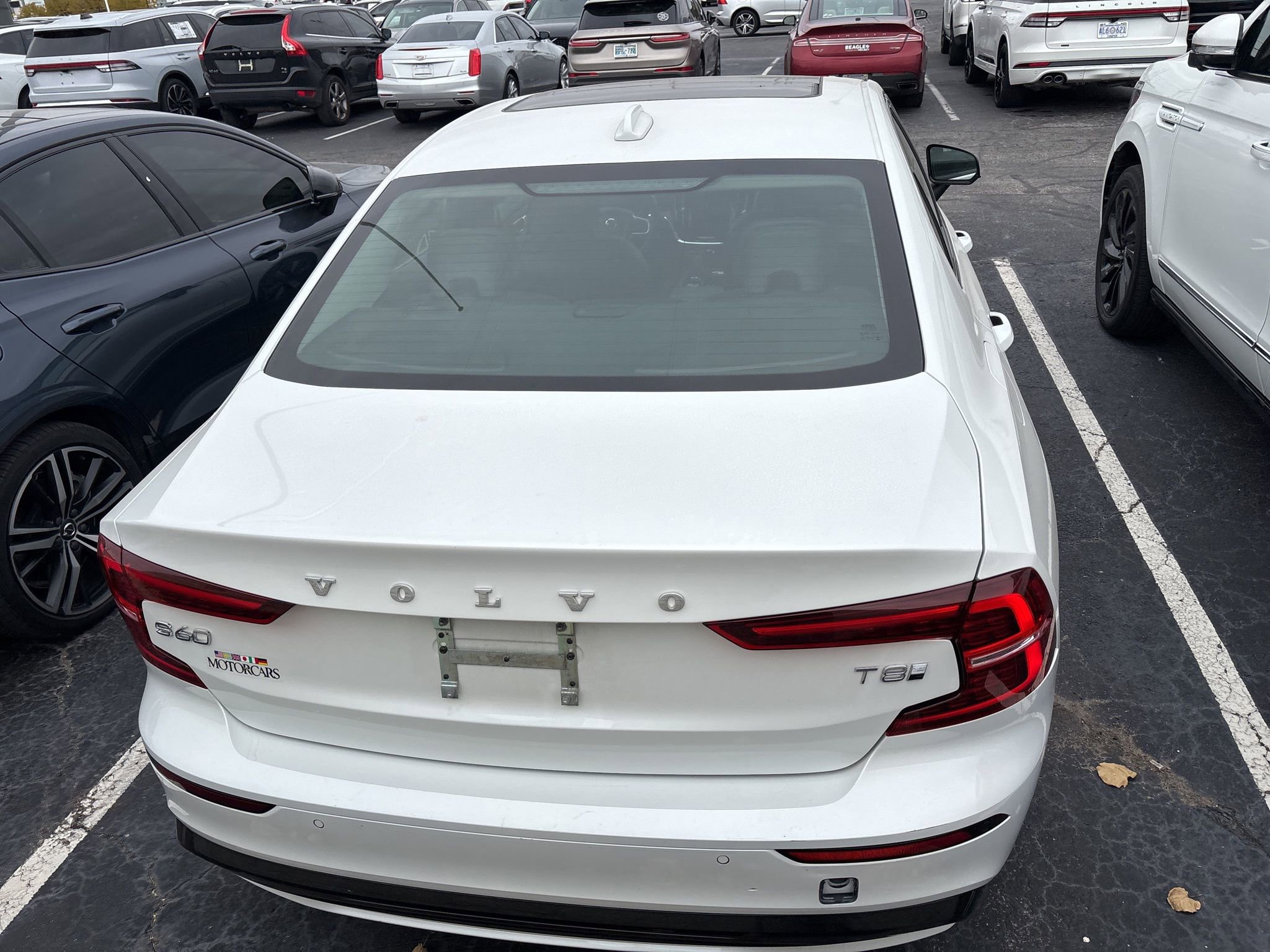 Used 2025 Volvo S60 T8 Plus w/ Climate Package image 7