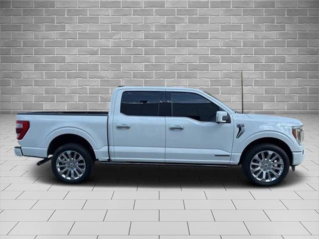 Used 2021 Ford F150 Limited AWD/4WD image 2