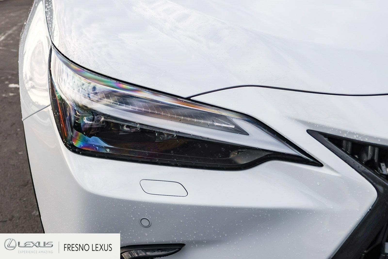 New 2026 Lexus NX 450h+ AWD w/ Luxury Package image 10