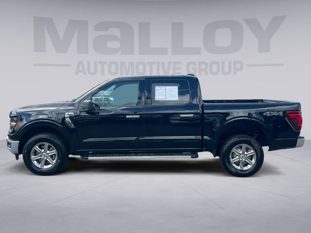 Used 2025 Ford F150 XLT w/ Equipment Group 301A Standard AWD/4WD image 2