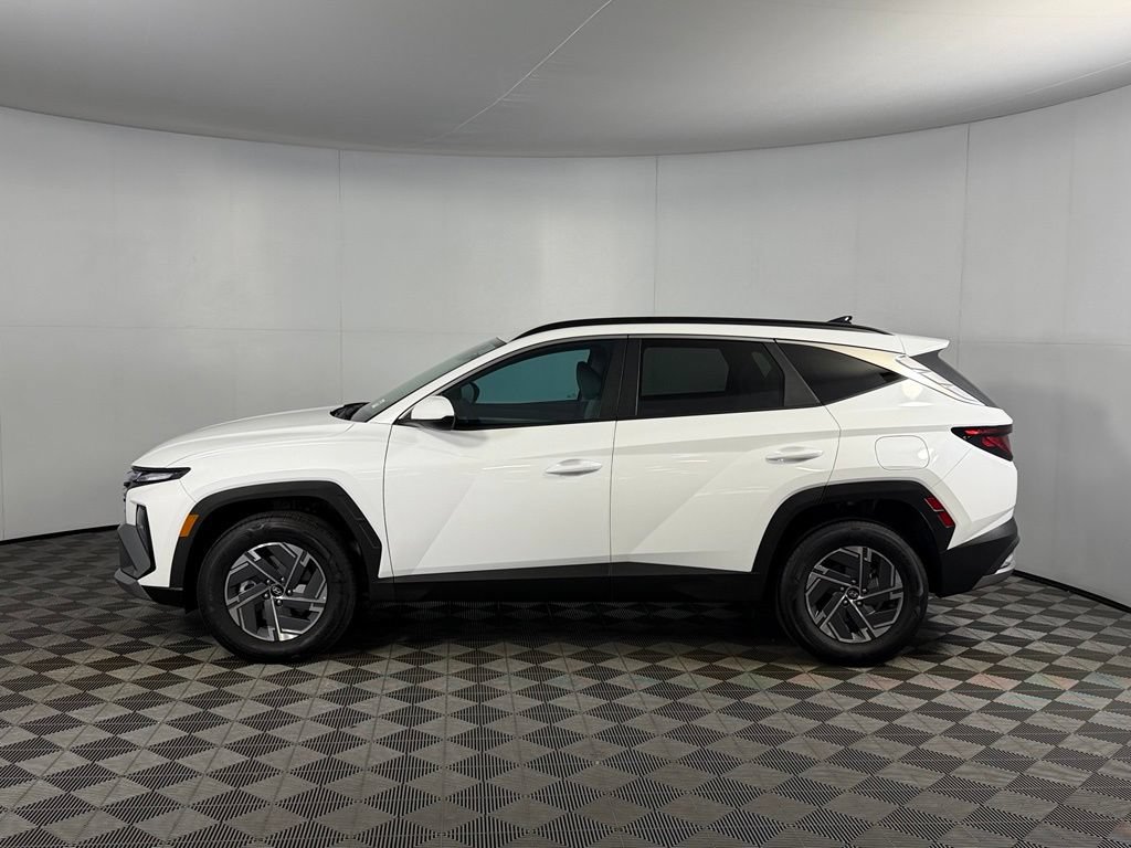 Used 2025 Hyundai Tucson Blue AWD/4WD image 10