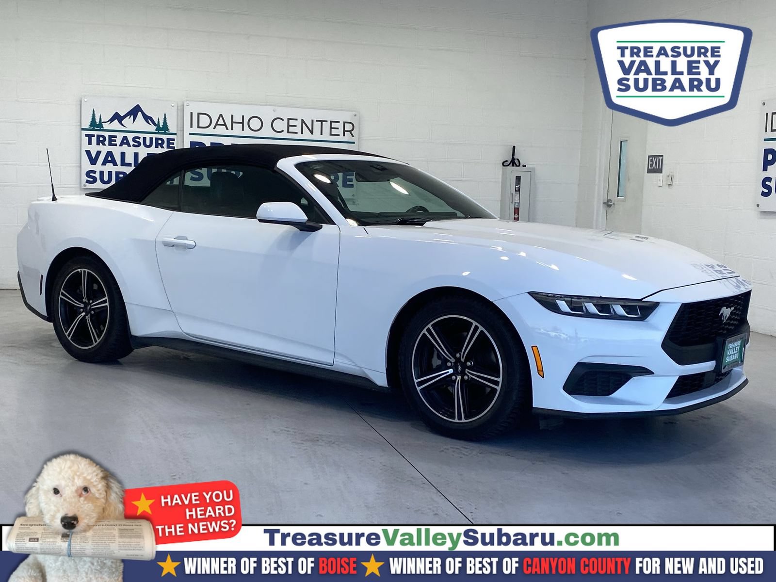 Used 2024 Ford Mustang Premium RWD image 1