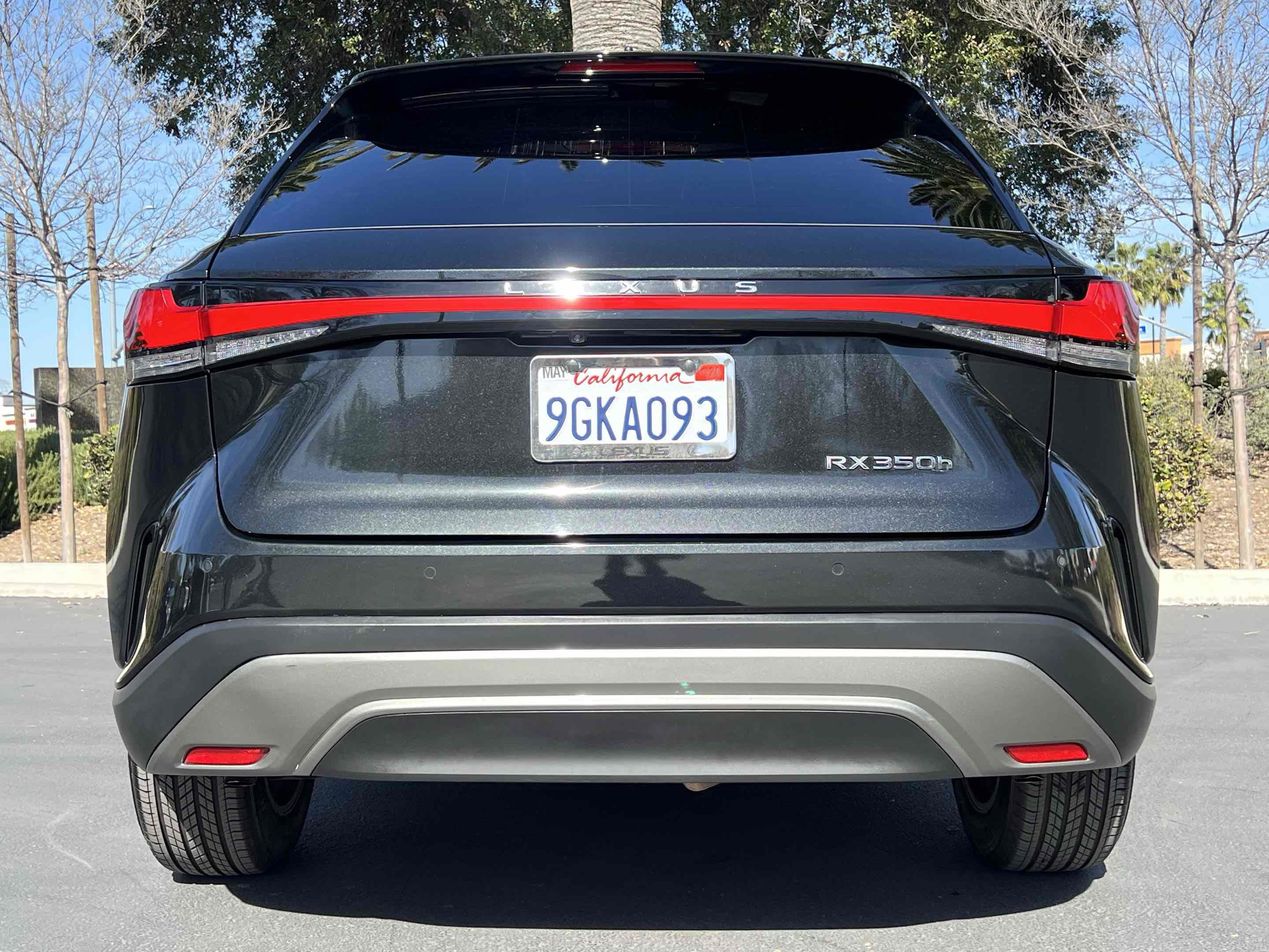 Used 2023 Lexus RX 350 w/ Cold Area Package image 16