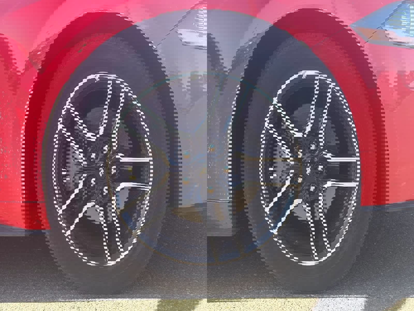 Used 2023 Ford Mustang Premium image 10