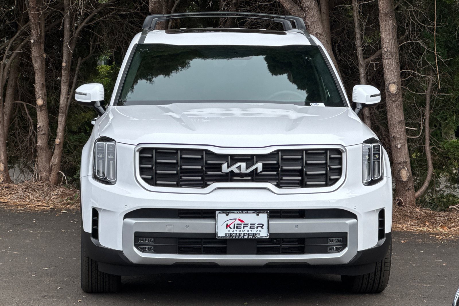 New 2025 Kia Telluride SX Prestige image 5
