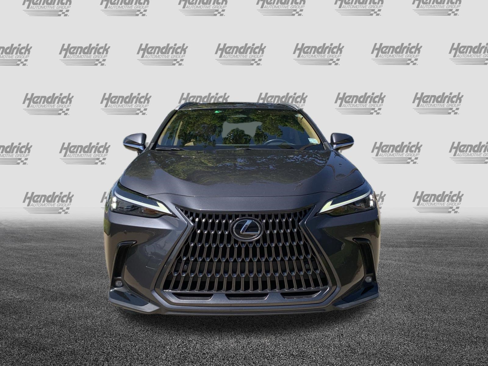Certified 2024 Lexus NX 250 FWD w/ Cold Area Package image 3