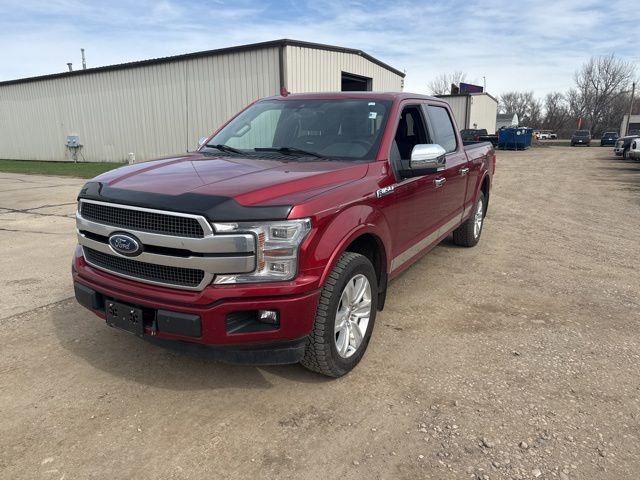 Used 2019 Ford F150 Platinum w/ Equipment Group 701A Luxury image 5