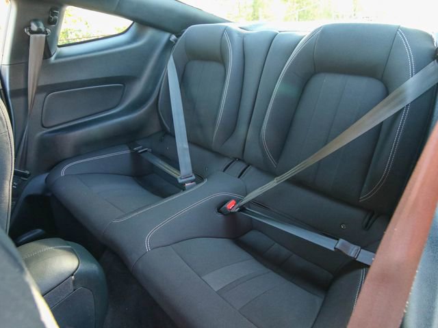 Used 2021 Ford Mustang GT w/ Equipment Group 301A image 25