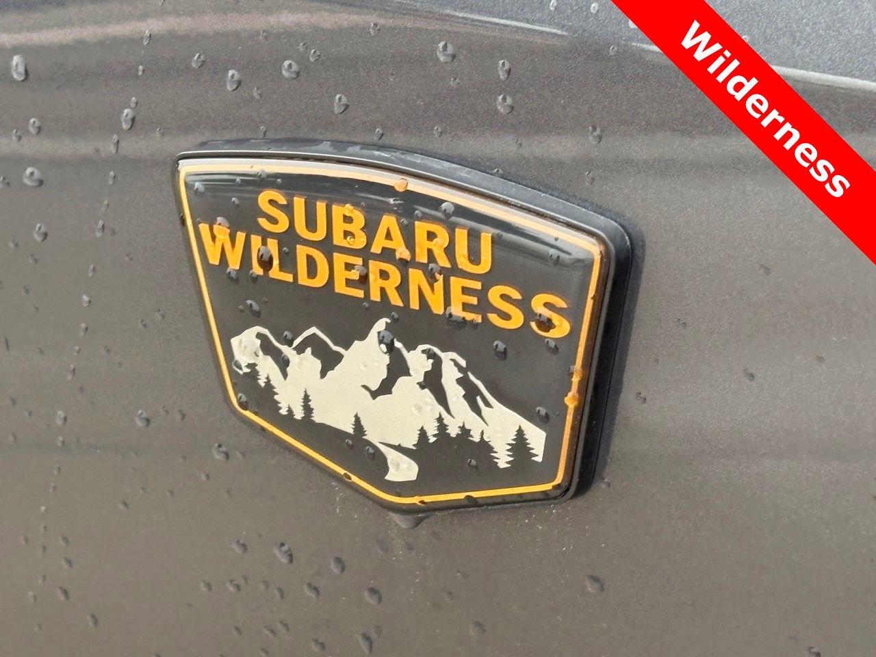 Used 2023 Subaru Outback Wilderness AWD/4WD image 11