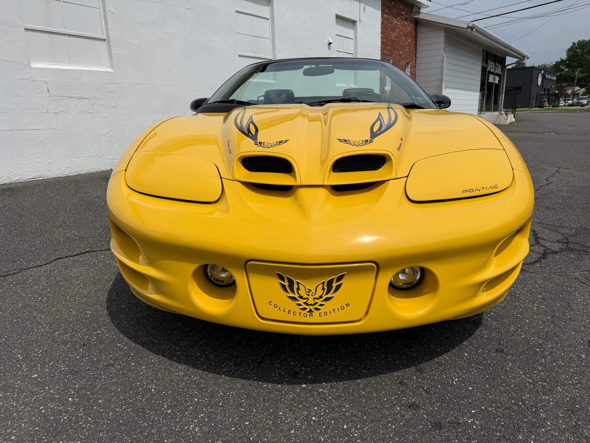 Used 2002 Pontiac Firebird Trans Am RWD image 4