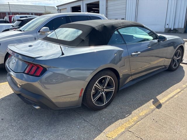 Used 2024 Ford Mustang Premium image 6