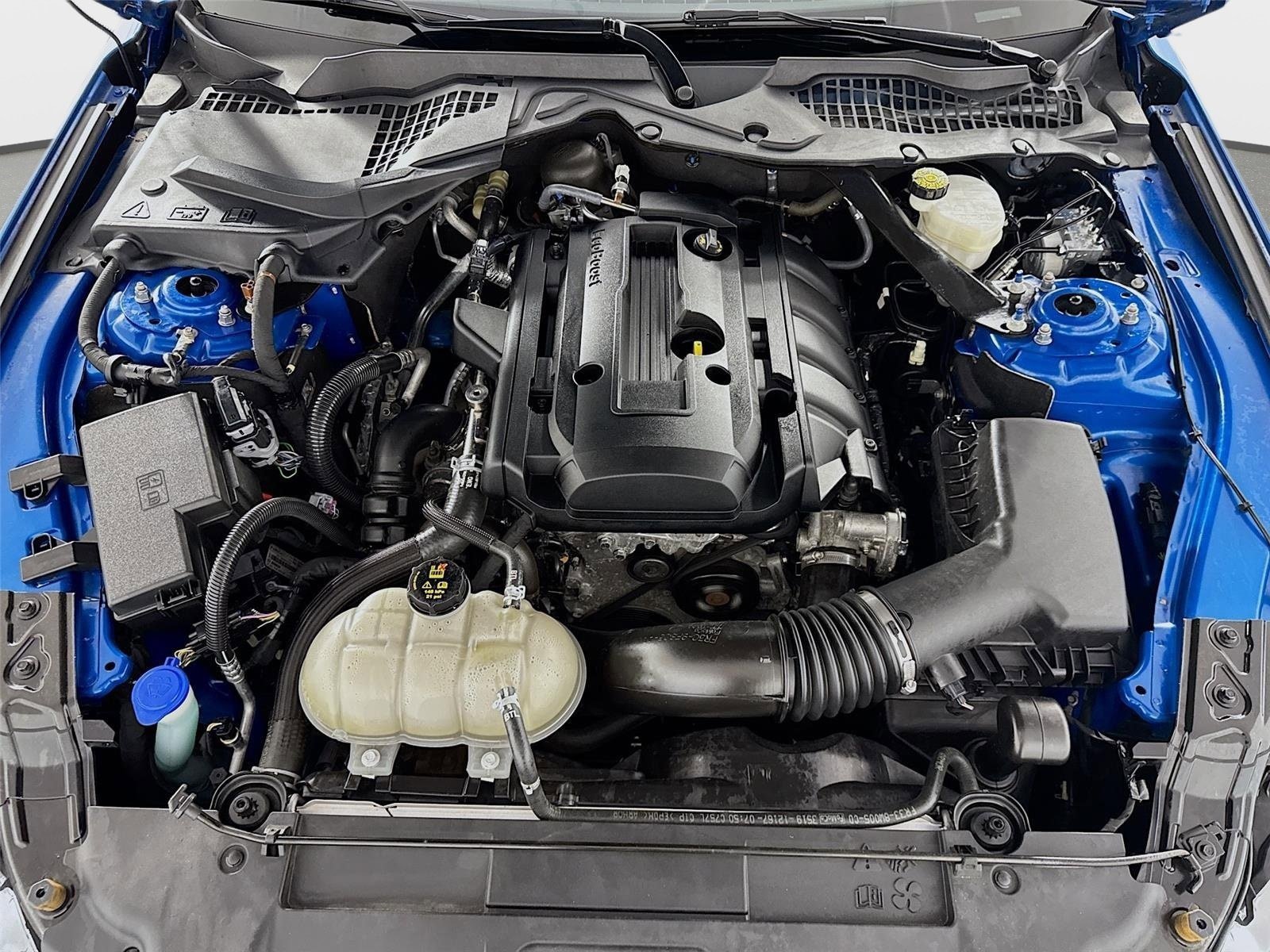 Used 2020 Ford Mustang Premium w/ Equipment Group 201A RWD image 26