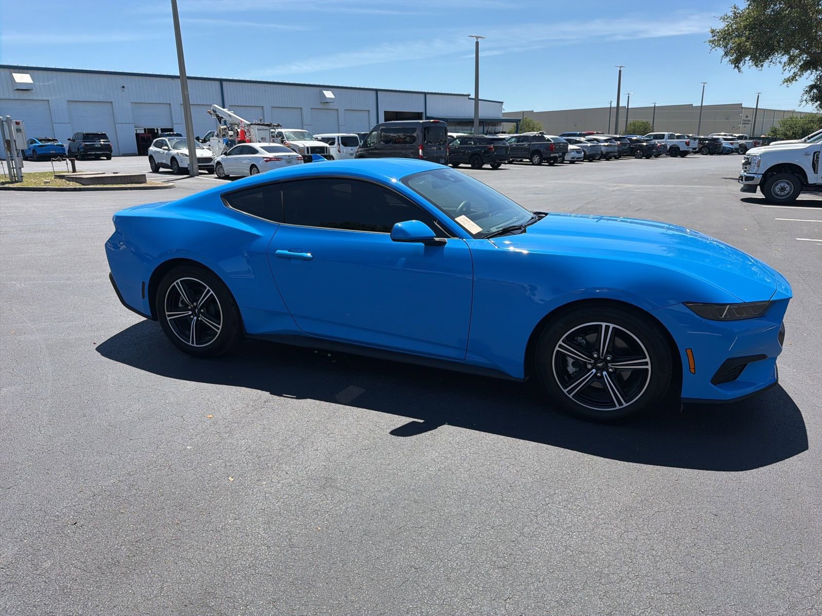 Used 2025 Ford Mustang Coupe image 2