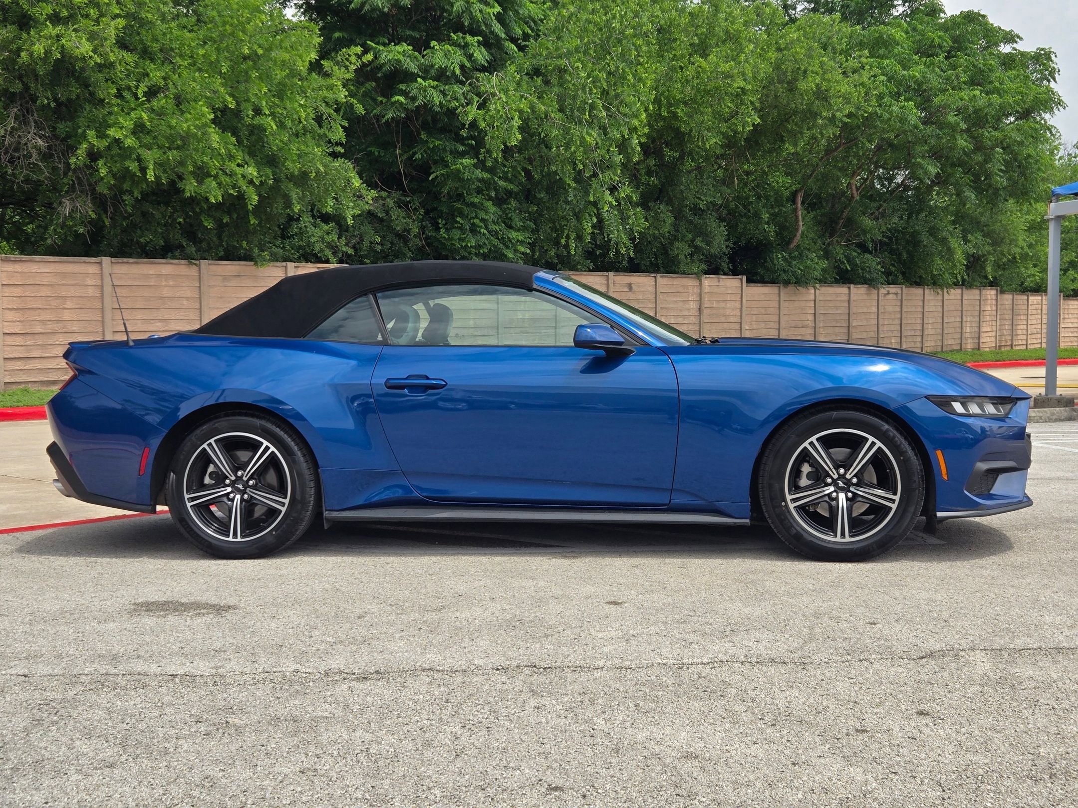 Used 2024 Ford Mustang Premium RWD video 2