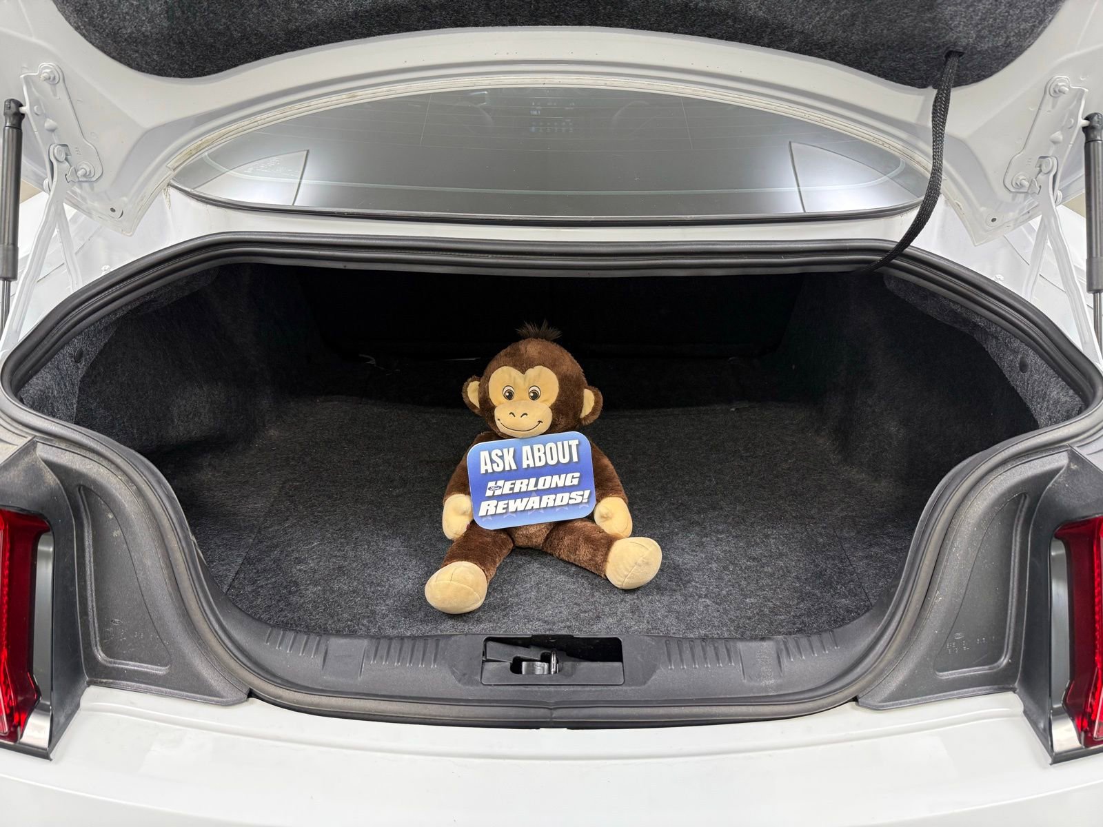 Used 2018 Ford Mustang Premium image 9