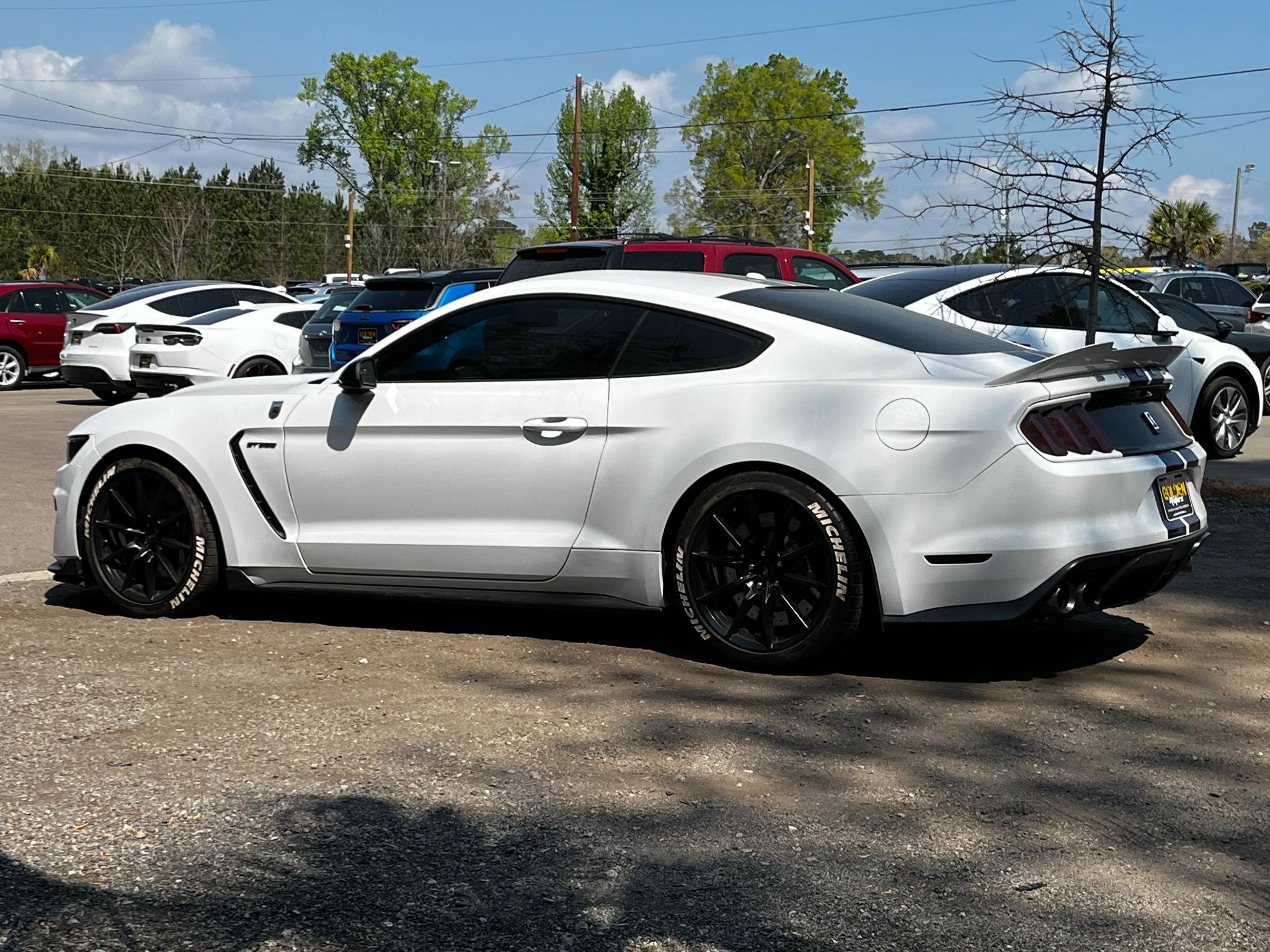 Used 2016 Ford Mustang Shelby GT350 w/ Technology Package image 7