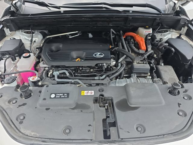 Certified 2024 Lexus NX 350h AWD w/ Cold Area Package image 31
