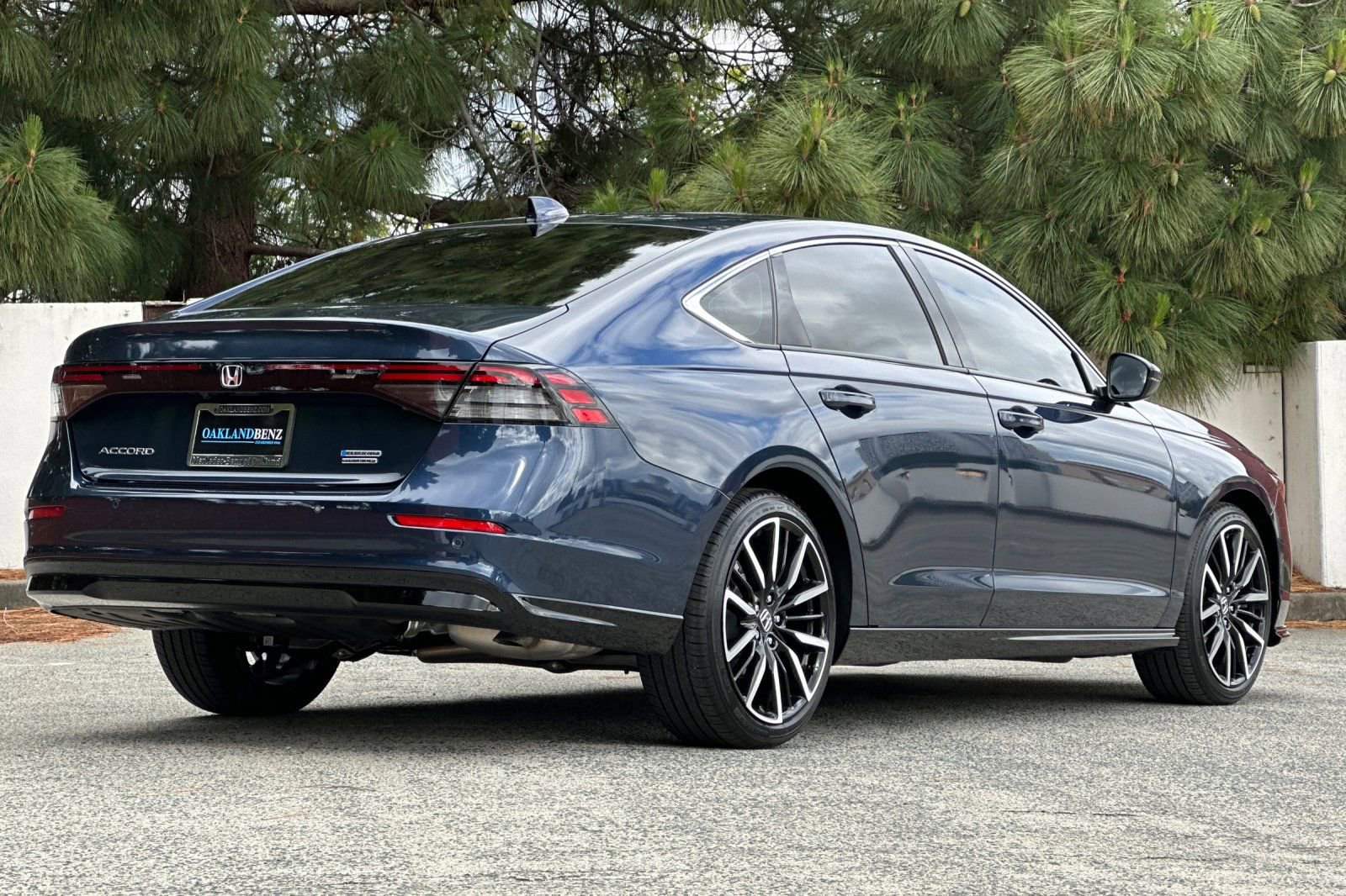 Used 2025 Honda Accord Touring image 4