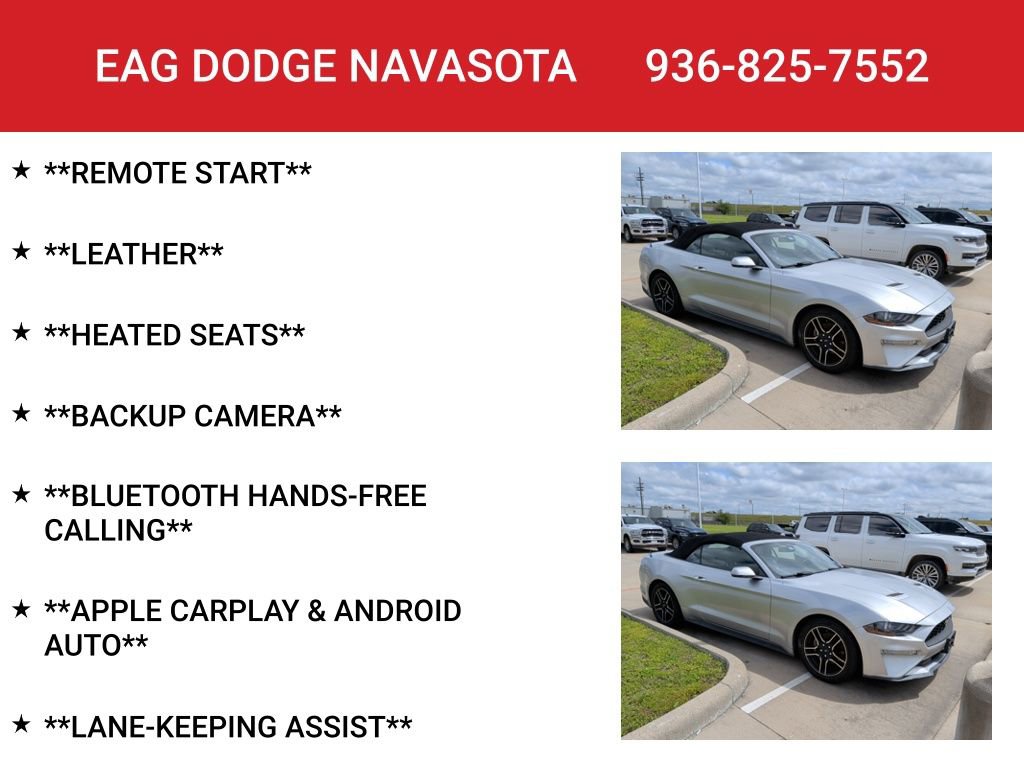 Used 2019 Ford Mustang Premium RWD image 4