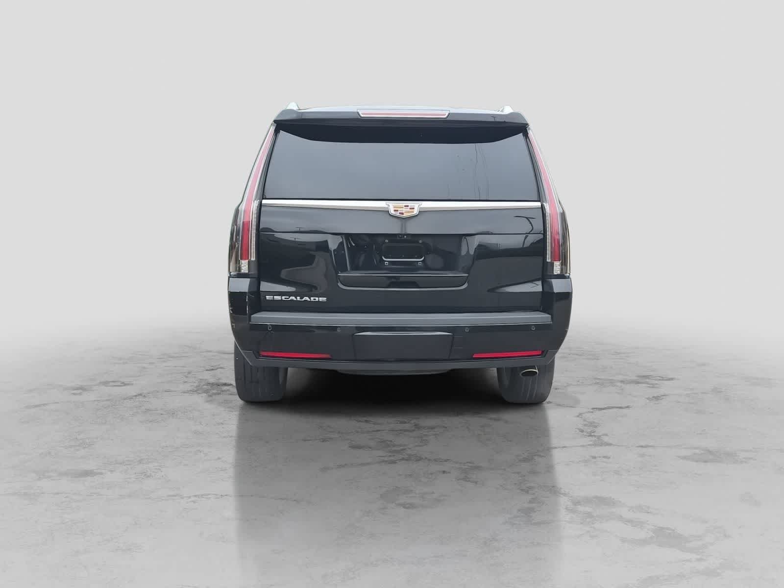 Used 2019 Cadillac Escalade Luxury w/ LPO, Radiant Package AWD/4WD image 7