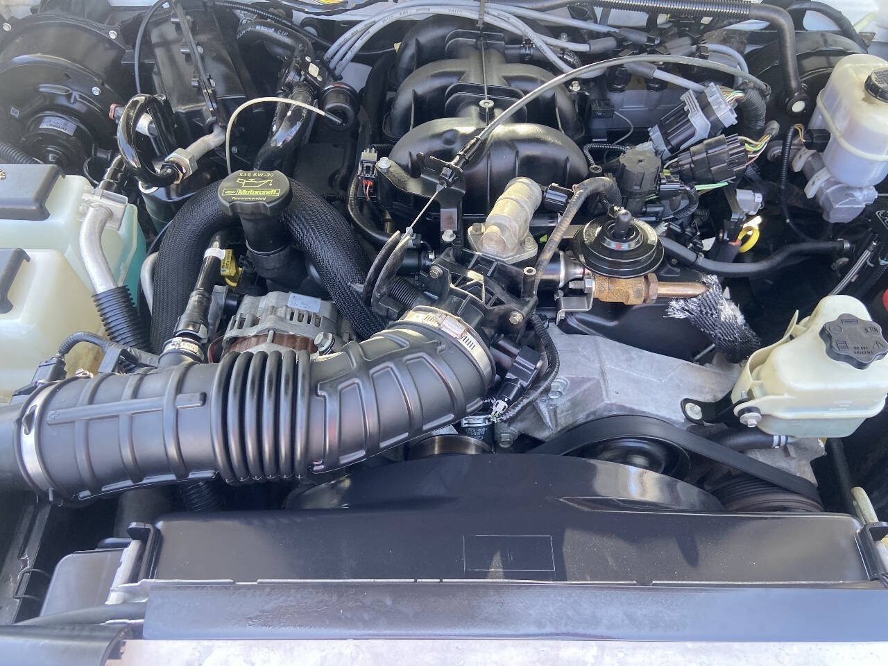 Used 2011 Ford Ranger XLT RWD image 16