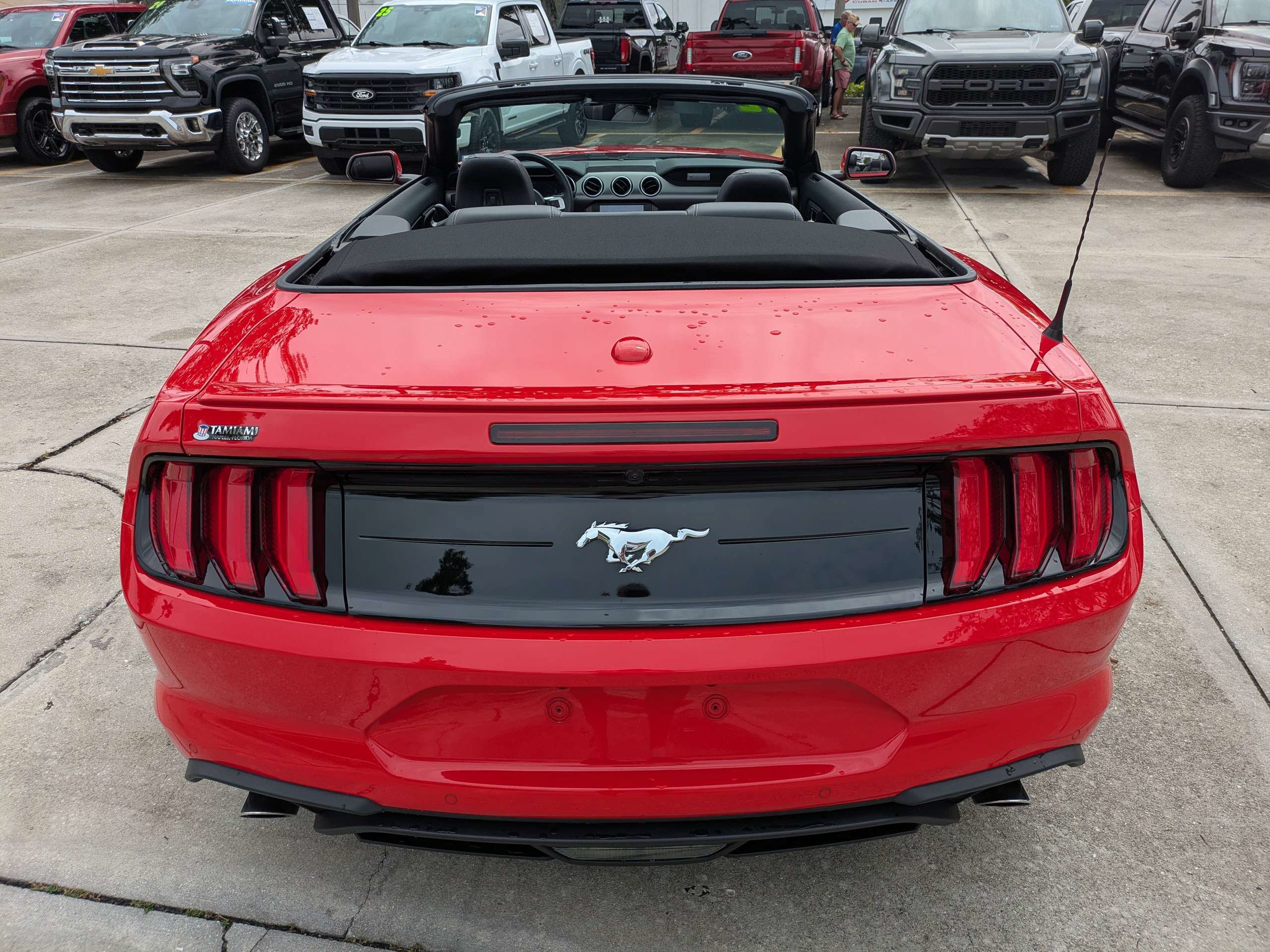Certified 2022 Ford Mustang Premium w/ Equipment Group 201A RWD image 5