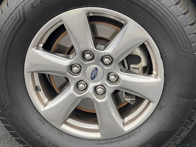 Used 2019 Ford F150 XLT w/ Equipment Group 302A Luxury AWD/4WD image 7