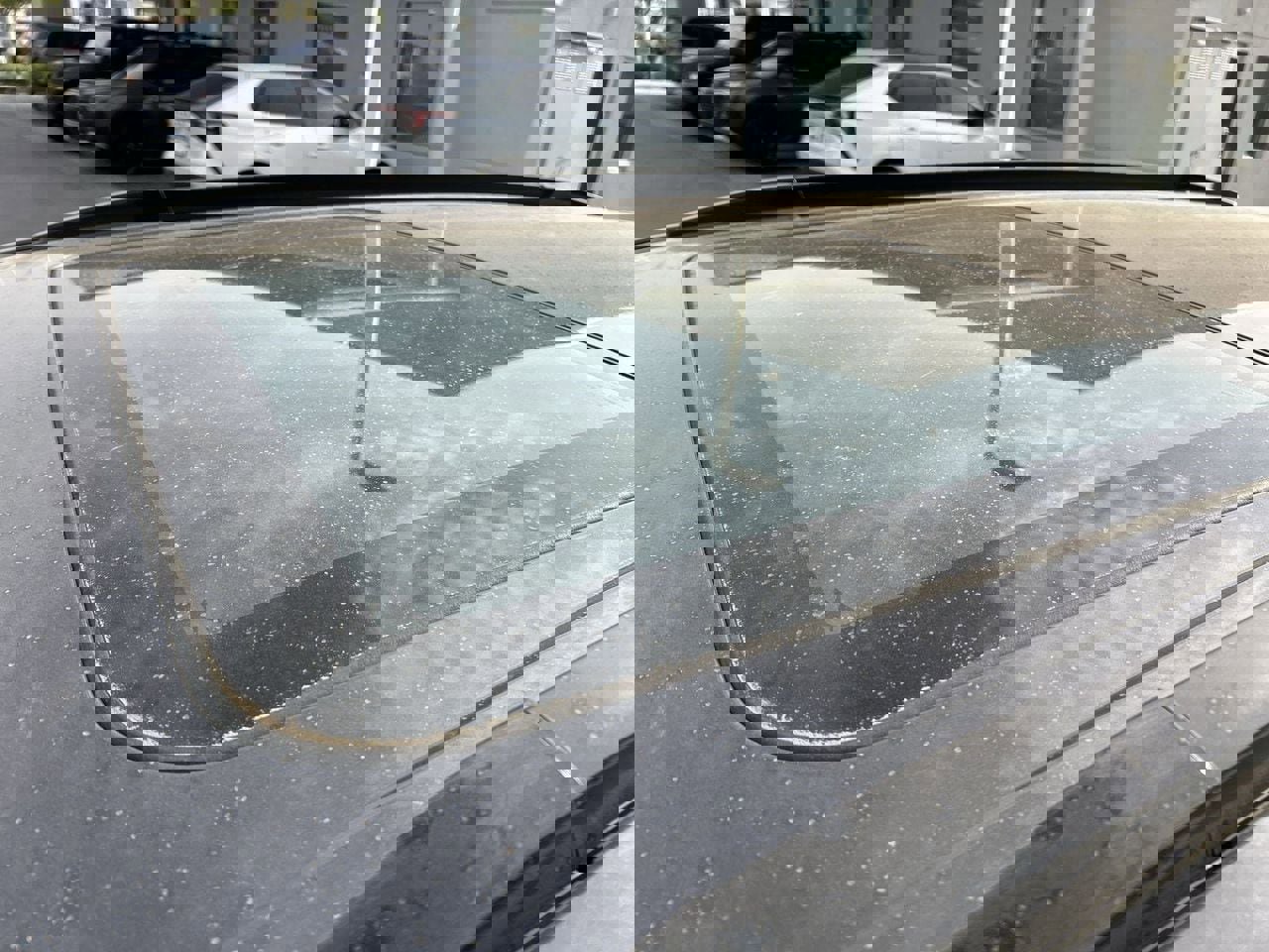 New 2026 Subaru Forester Sport image 18