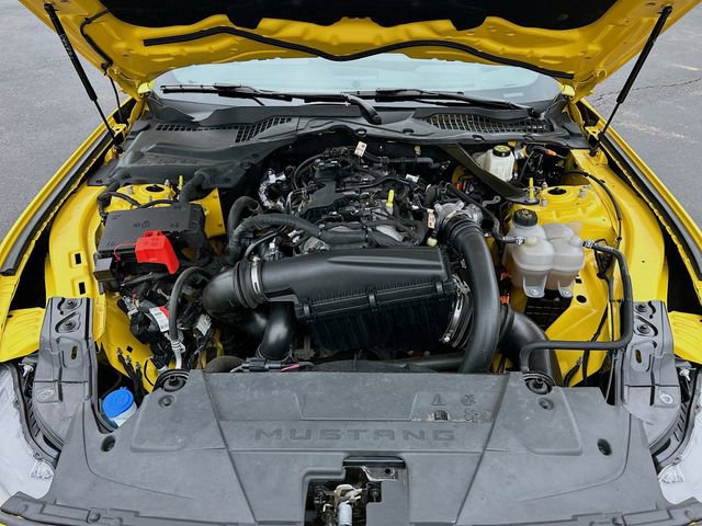 Certified 2024 Ford Mustang Premium RWD image 31