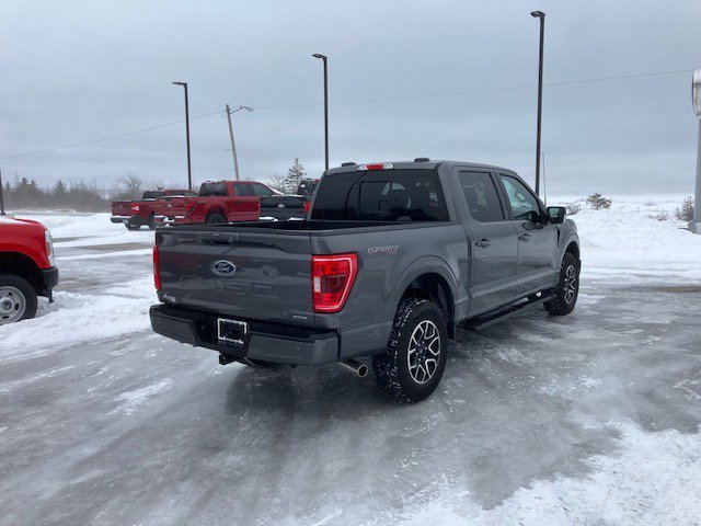 Used 2023 Ford F150 XLT w/ Equipment Group 302A High image 4