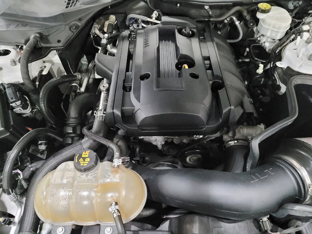 Used 2019 Ford Mustang Premium w/ Equipment Group 201A RWD image 30