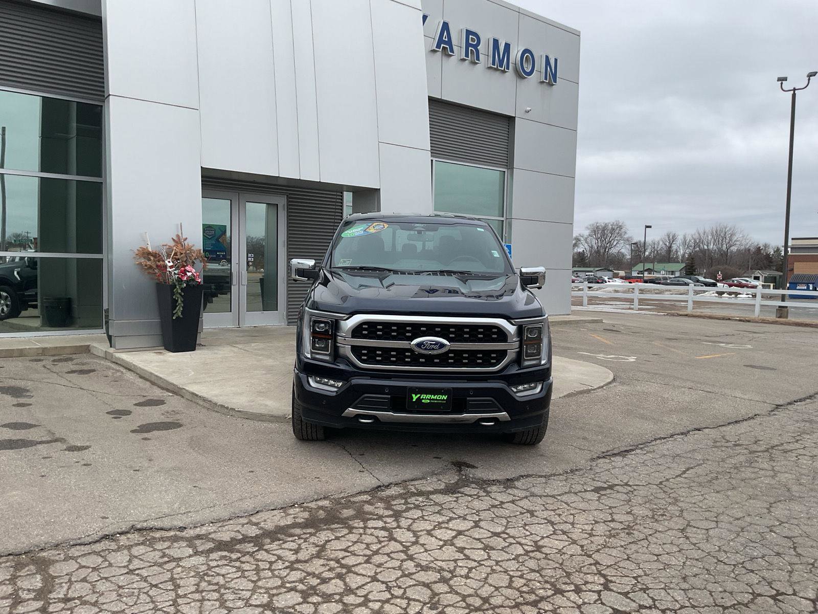 Used 2022 Ford F150 Platinum w/ Equipment Group 701A High image 8