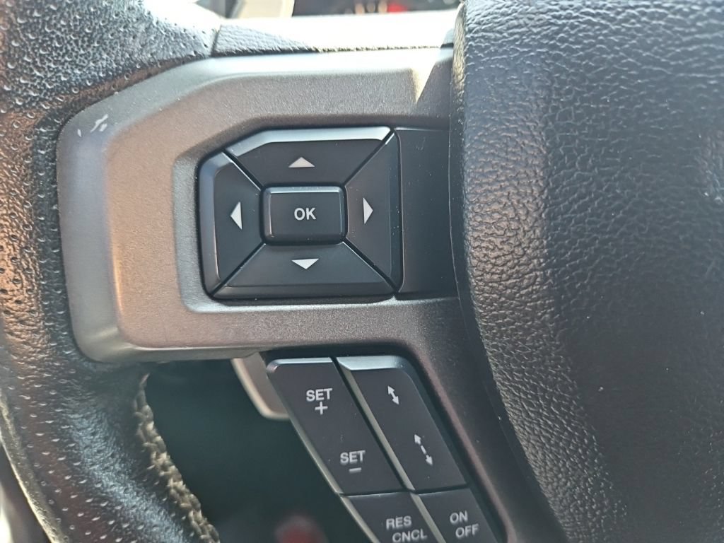 Used 2017 Ford F150 Raptor w/ Equipment Group 802A Luxury AWD/4WD image 17