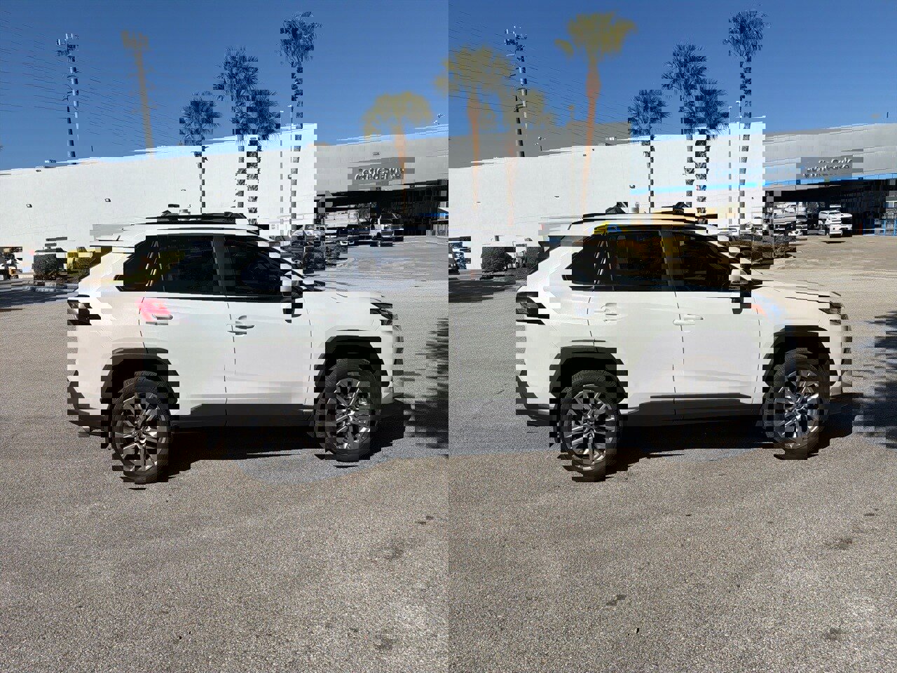 Used 2025 Toyota RAV4 XLE Premium image 6