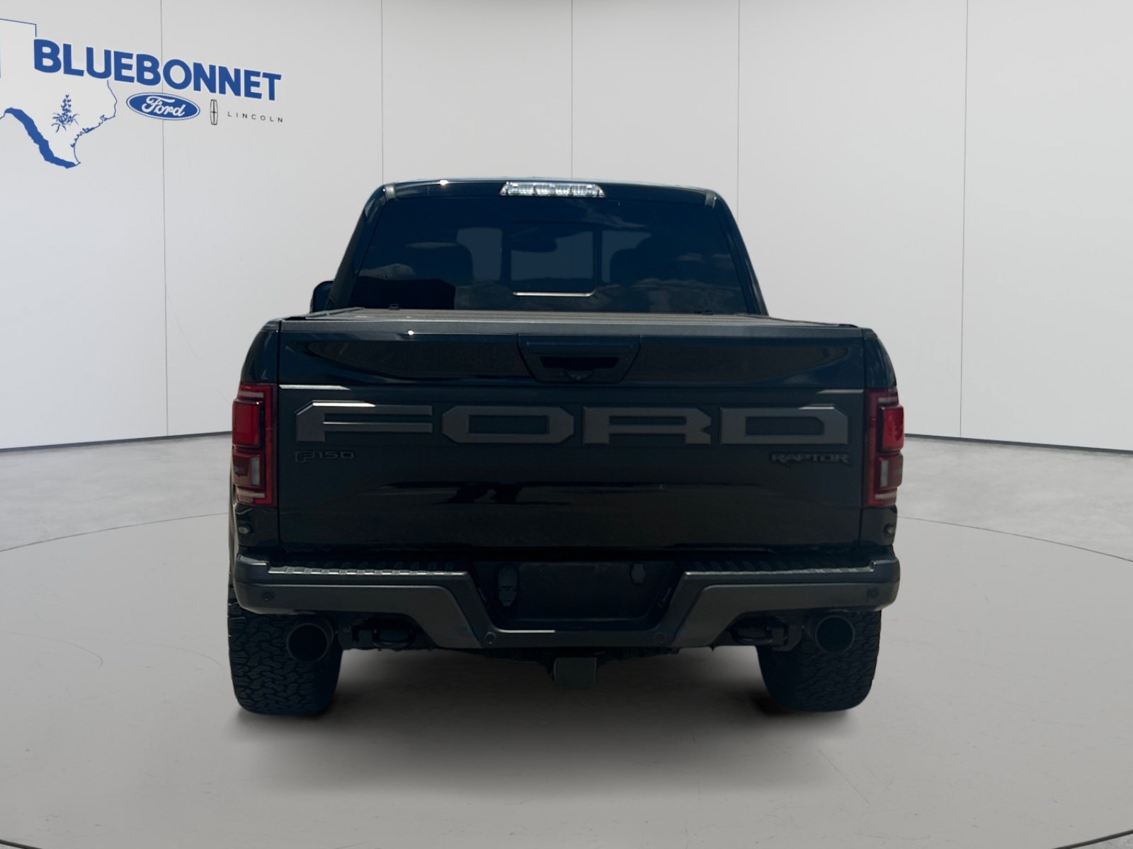 Used 2019 Ford F150 Raptor w/ Equipment Group 802A Luxury AWD/4WD image 6