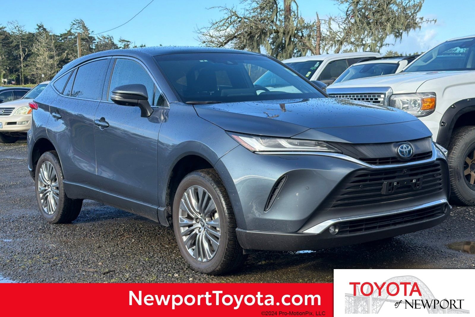 Used 2024 Toyota Venza Limited image 1