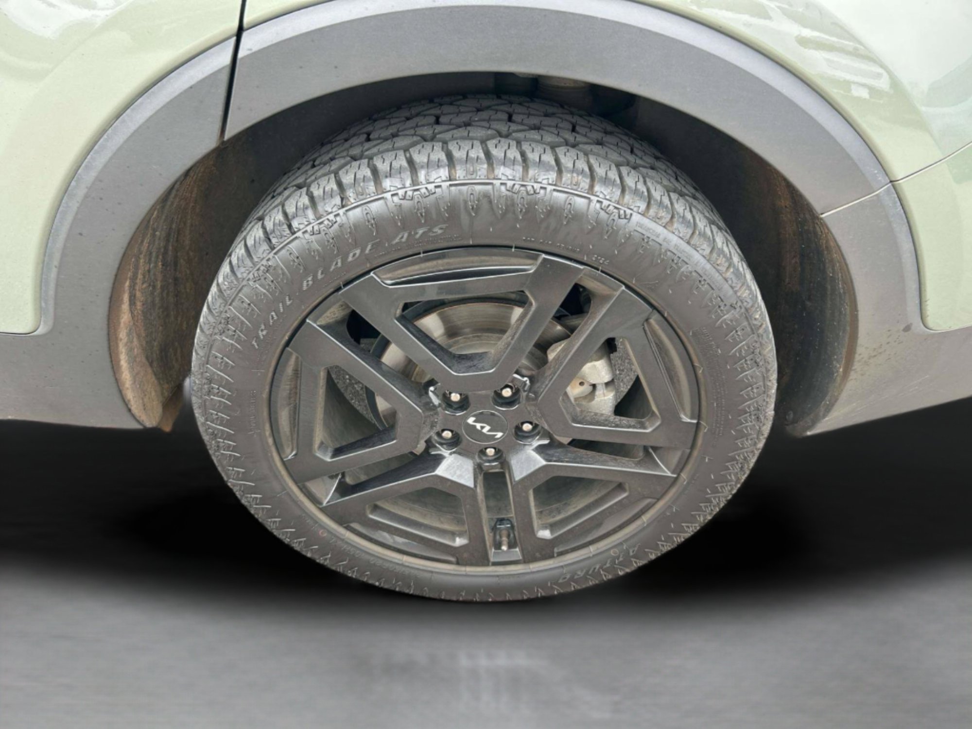 Used 2024 Kia Telluride SX Prestige X-Line image 10