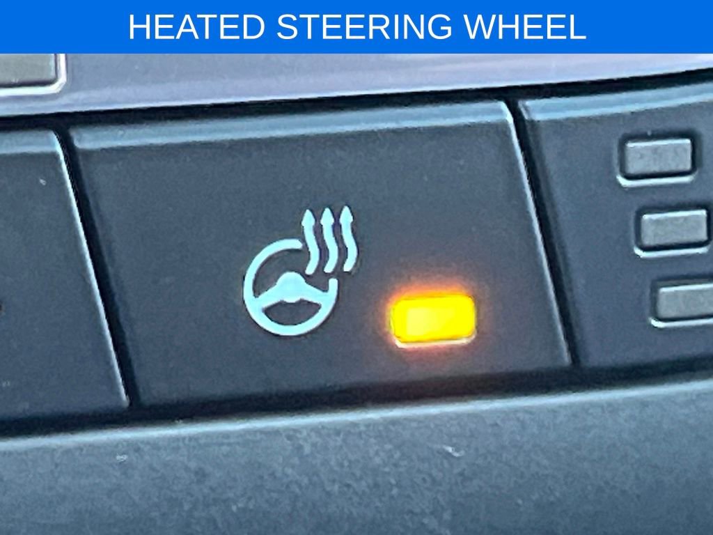 New 2026 Ford Escape Active w/ Cold Weather Package image 15